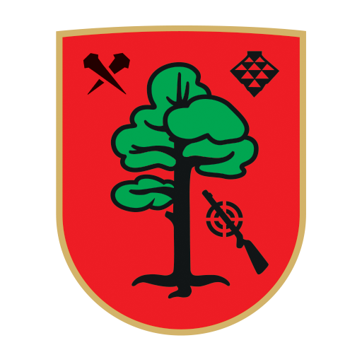 Johann Fanzoj