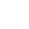 Steyr Arms