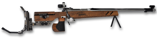 Freigewehr 300m Modell 210