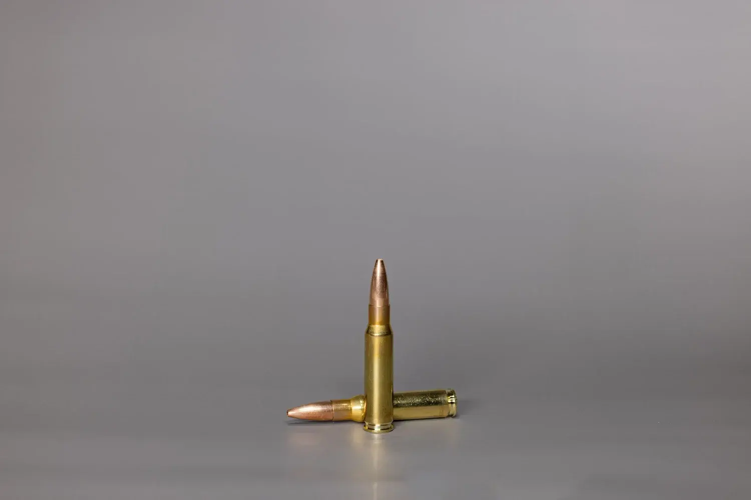 .308 Win. SWISS P Styx Action 10.8 g / 167 gr