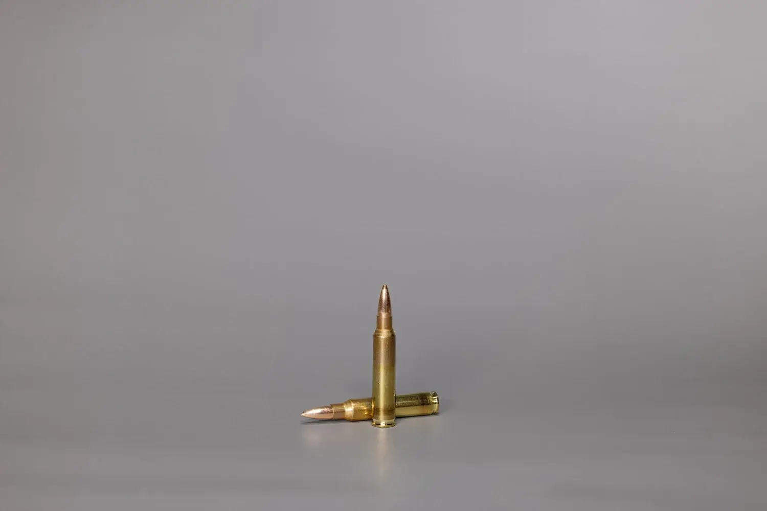 .223 Rem. SWISS P Target 4.5 g / 69 gr