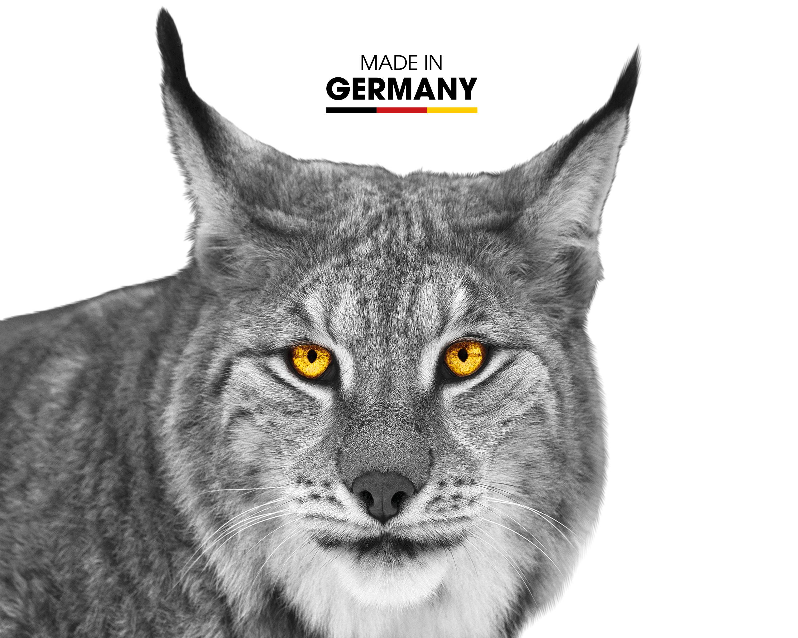 Liemke Luchs-2