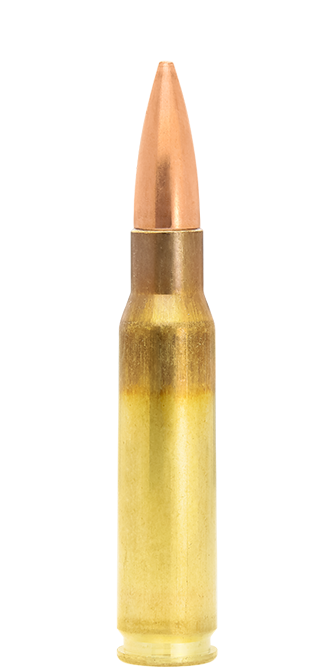 .308 Win. Scenar-L 175 gr