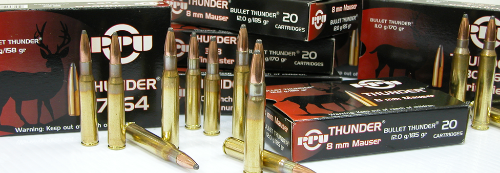 PPU GROM .308 Winchester 170gr (Hunting)