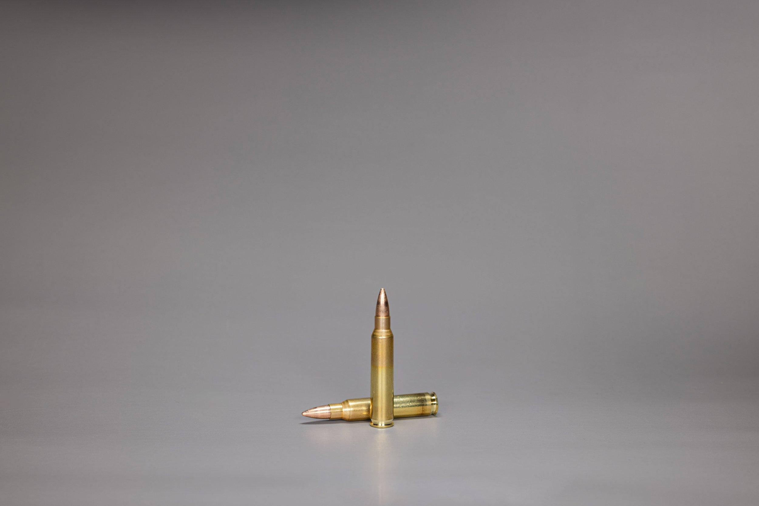 .223 Rem. SWISS P Ball SX 3.6 g / 55 gr