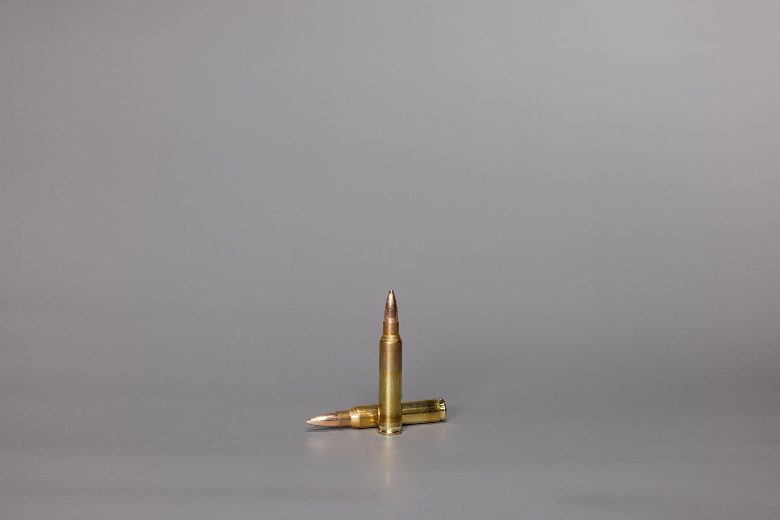 .223 Rem. SWISS P Target SX 4.5 g / 69 gr