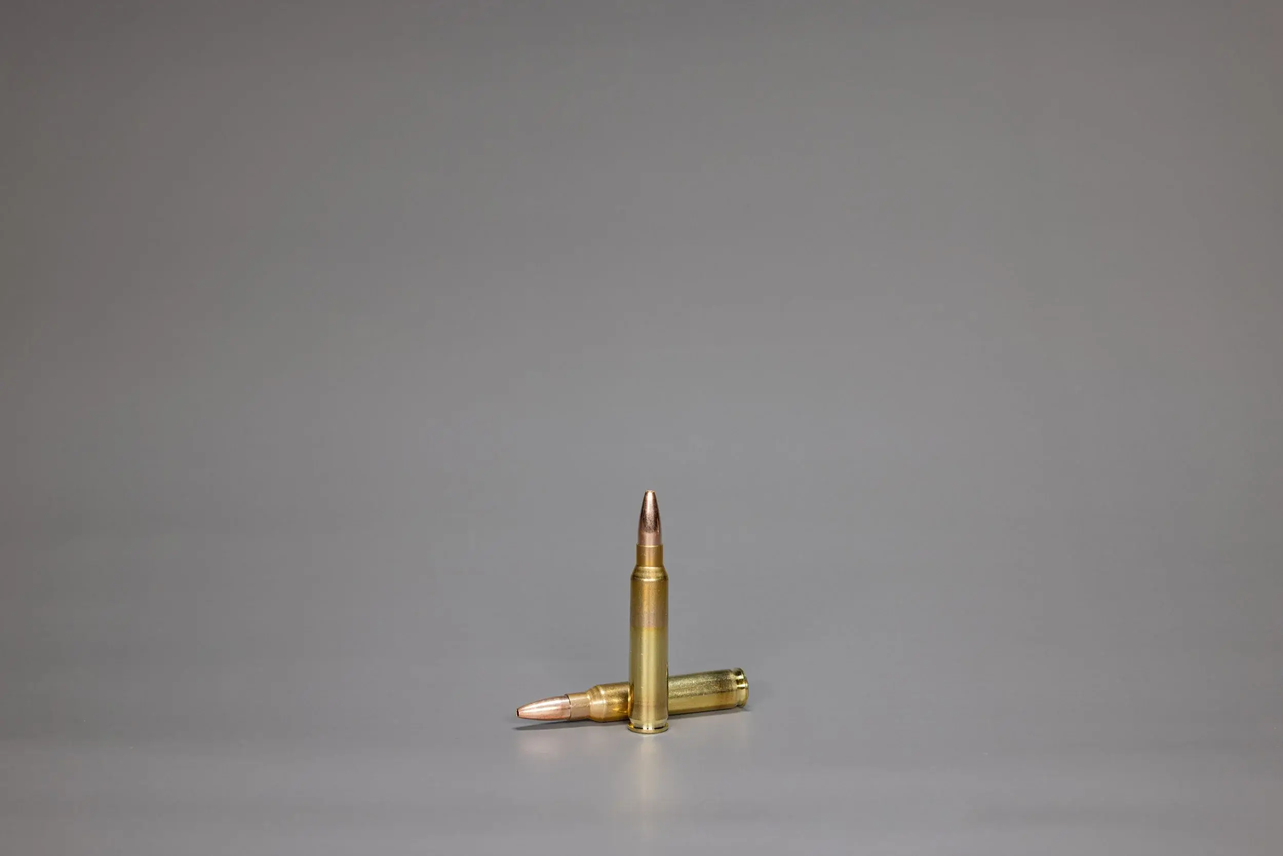 .223 Rem. SWISS P Styx Action 4.5 g / 69 gr