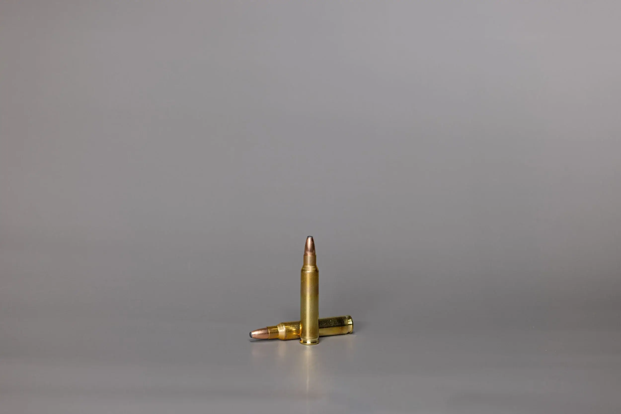 .223 Rem. SWISS P Bonded Styx 3.6 g / 55 gr