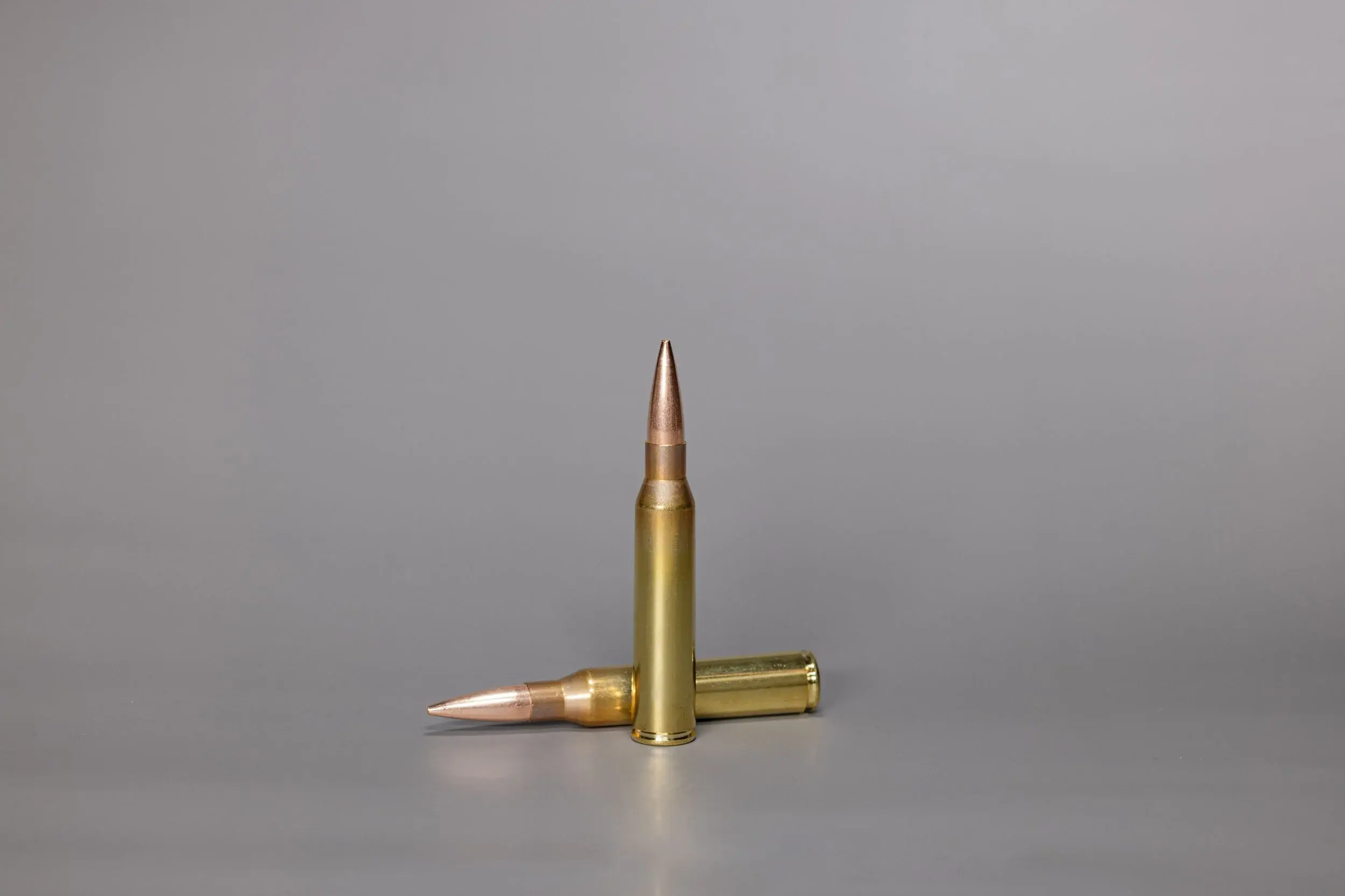 .338 Lapua Mag. SWISS P Target 19.4 g / 300 gr