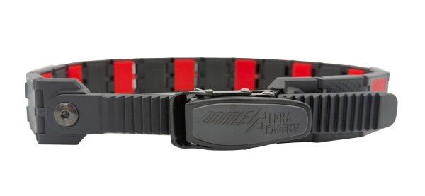 Lynx Belt
