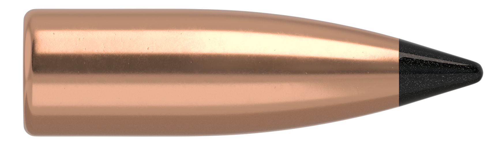 Nosler Varmageddon