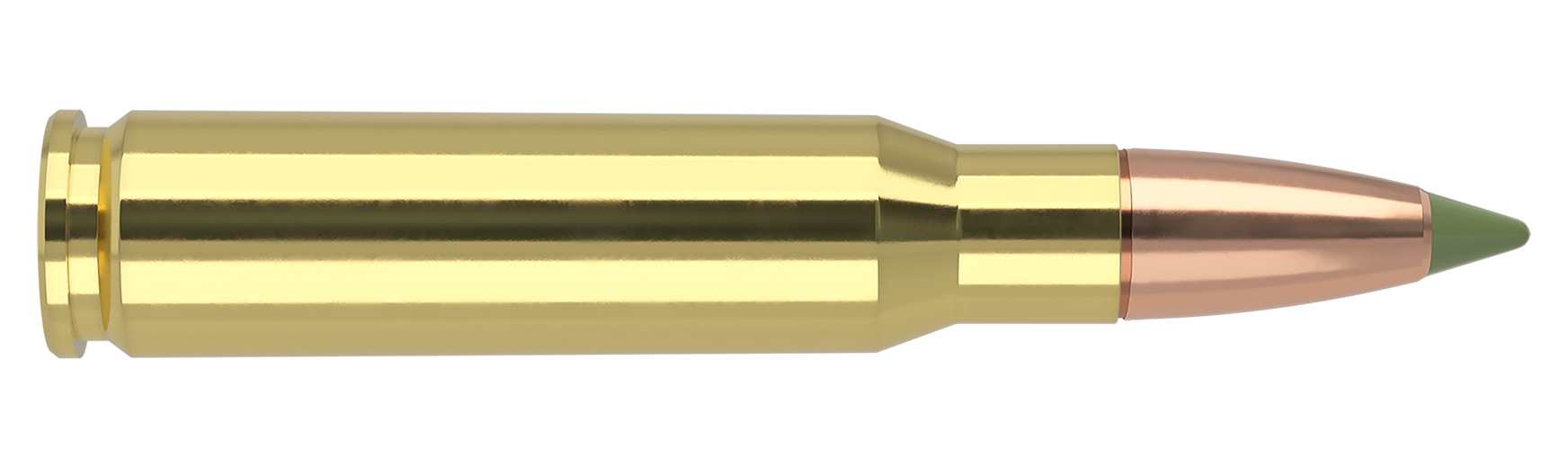 Nosler Expansion Tip (Munition)