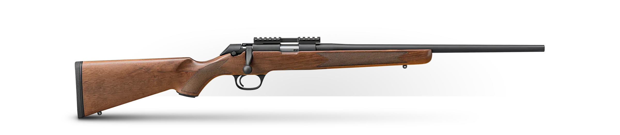 Model 2020 Rimfire
